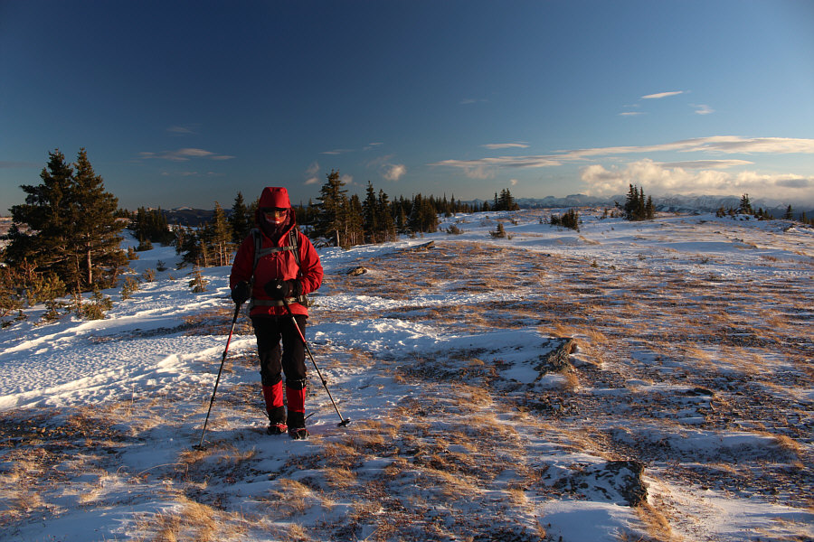 And it's bloody cold and windy up here!