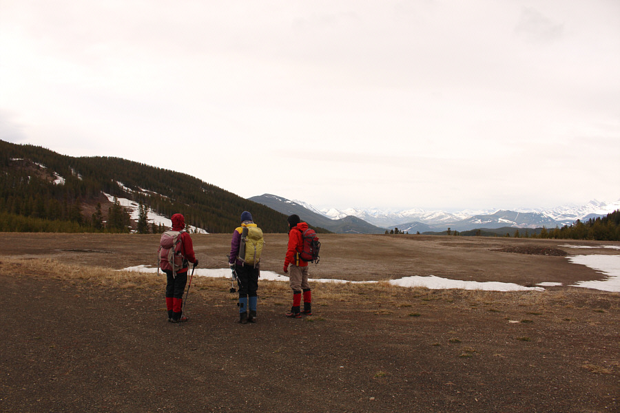 We spotted lots of bear tracks along the access road.
