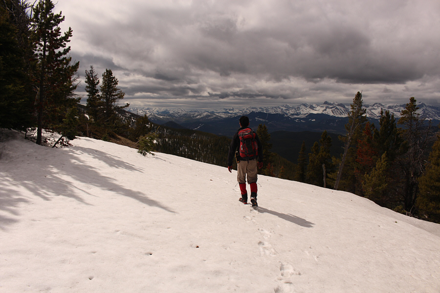 Unfortunately, these supportive sections were more the exception than the rule!