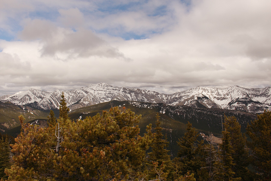 Both are very high on my to-do list this summer!