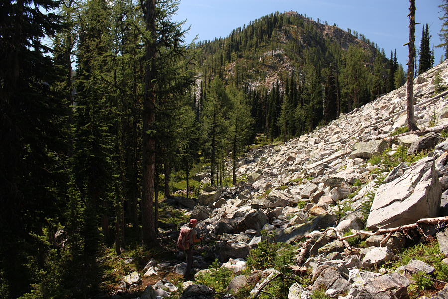 The south side of Gray Creek Pass is not nearly as pleasant as the north side!
