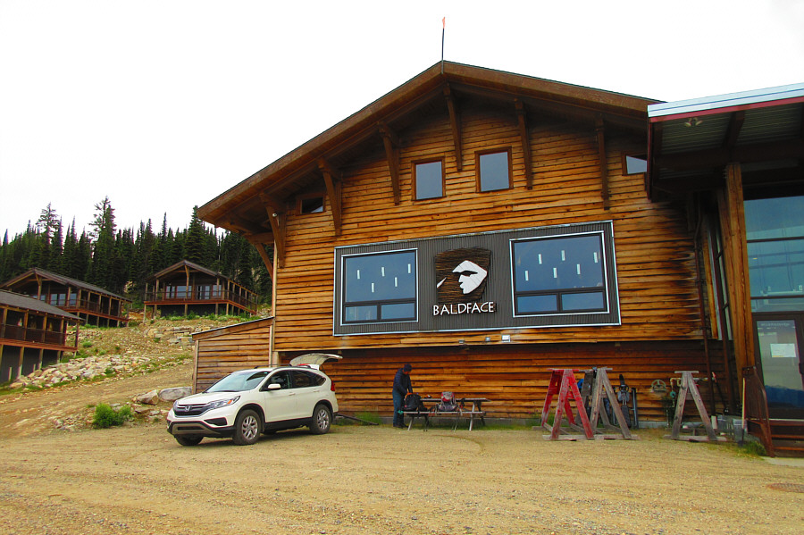 Hello? Anybody home?