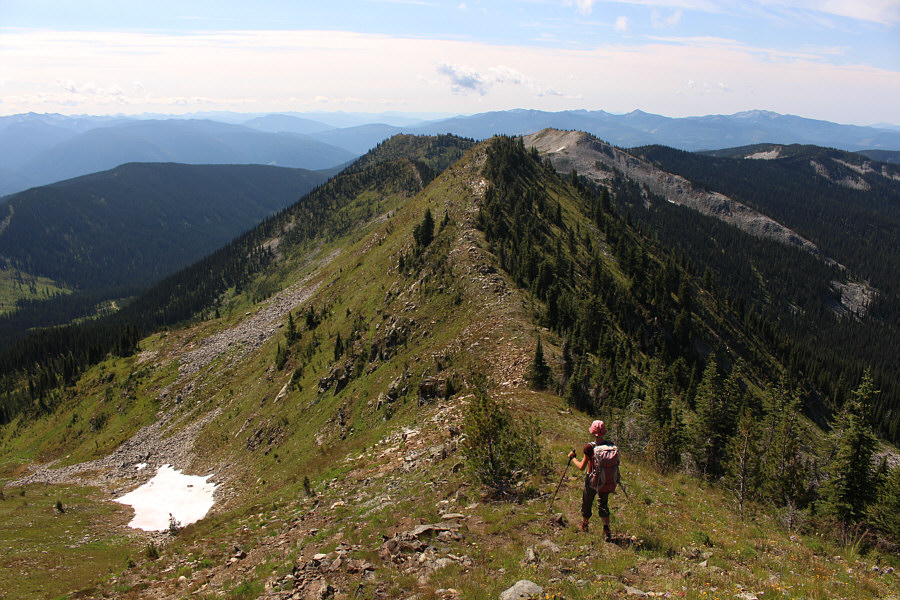 More ups and downs to come!