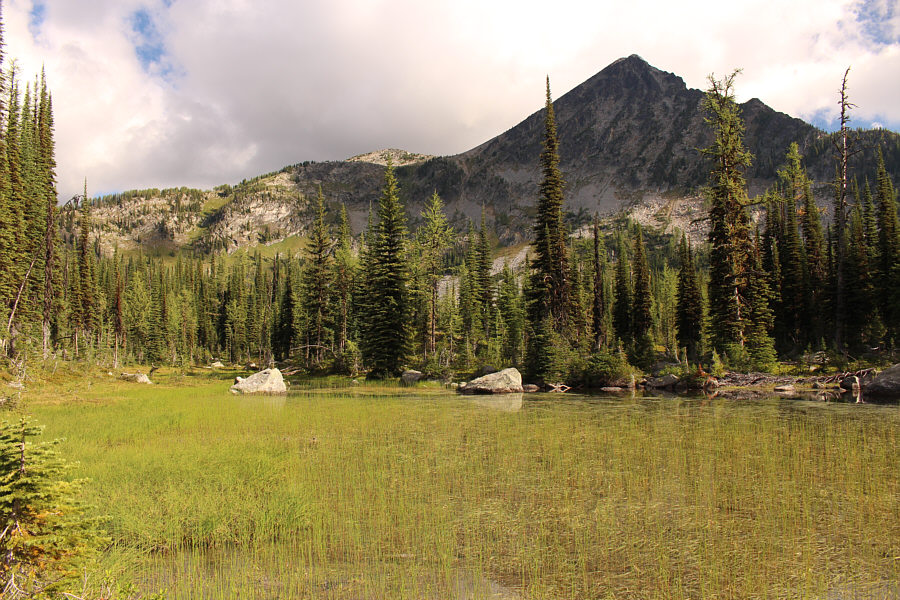 There is a toilet nearby!