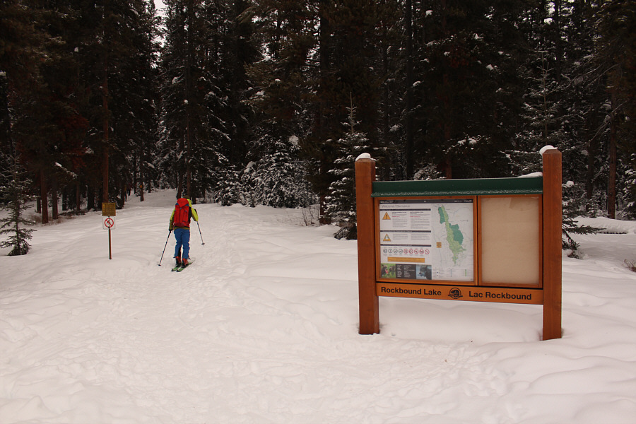 There is an outhouse here, but it's a little further up the trail!
