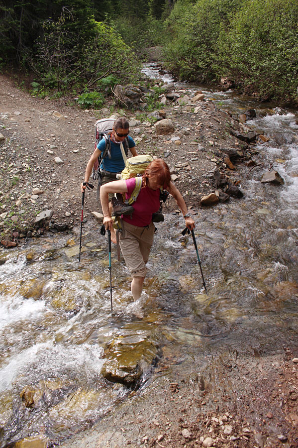 I almost managed to rock-hop this creek...almost...