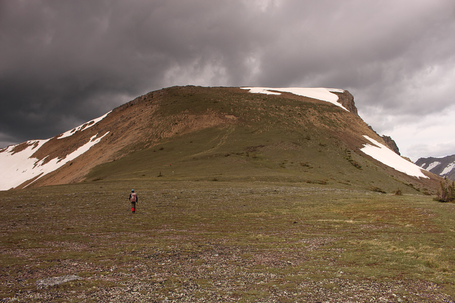 We could play soccer here!