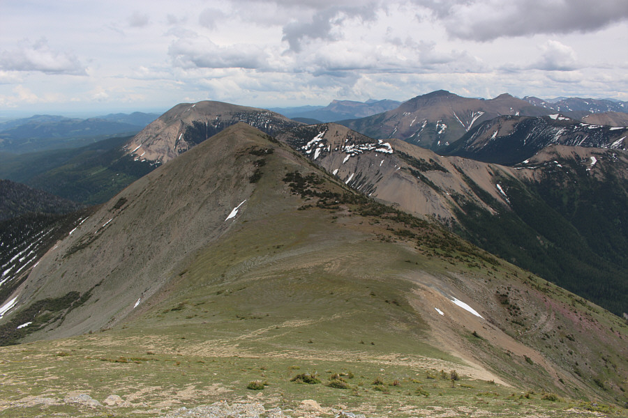 Will maybe go up McCarty later this year...