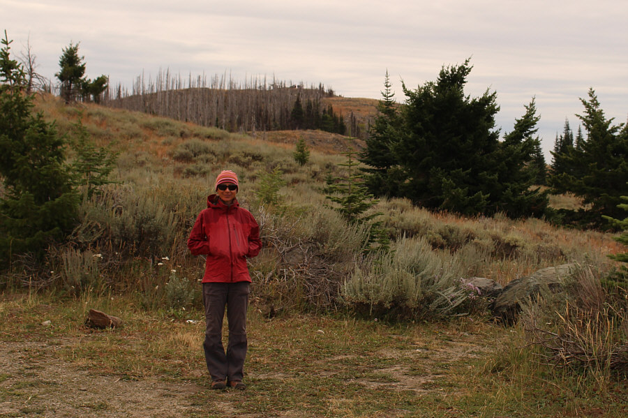 There's an outhouse here!