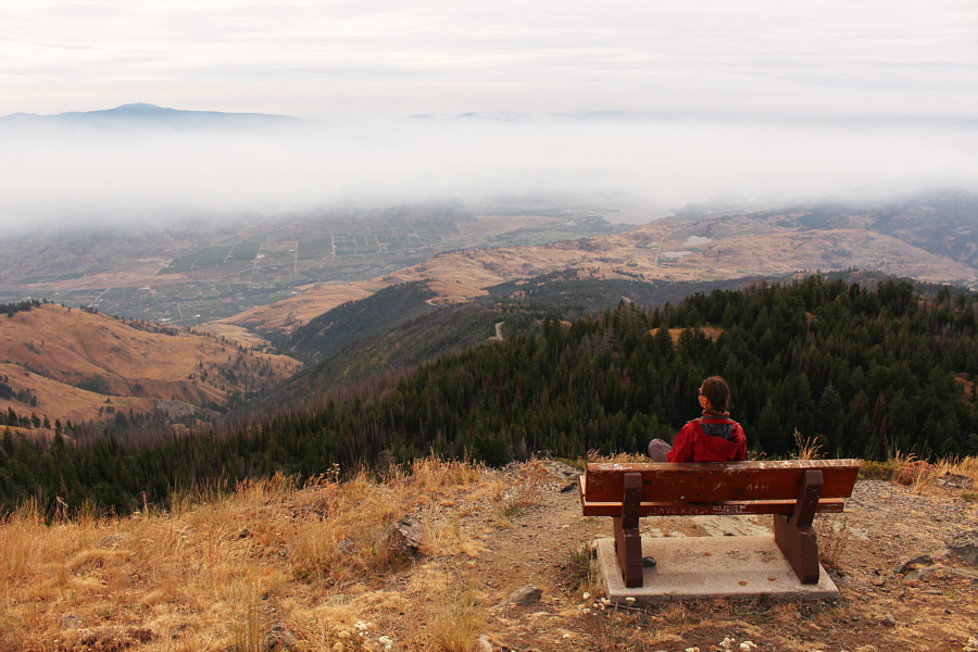 Nicer to be up here where the air is clear!