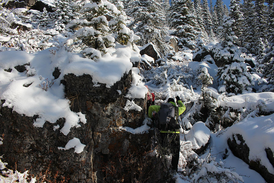 Lotsa annoying prickly bushes here too!