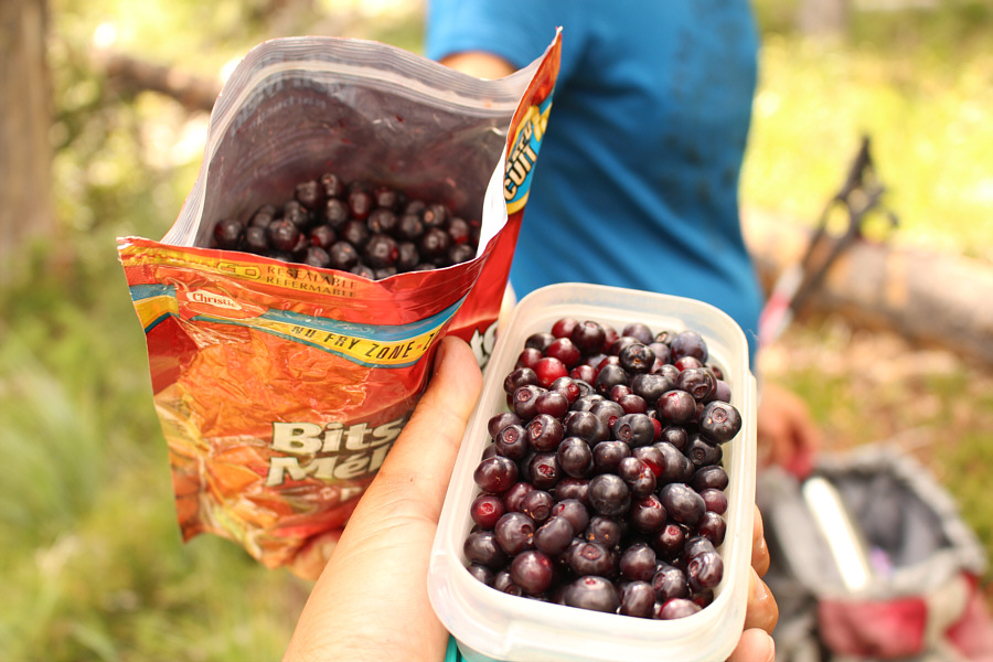 We could have collected so much more if we had more bags!