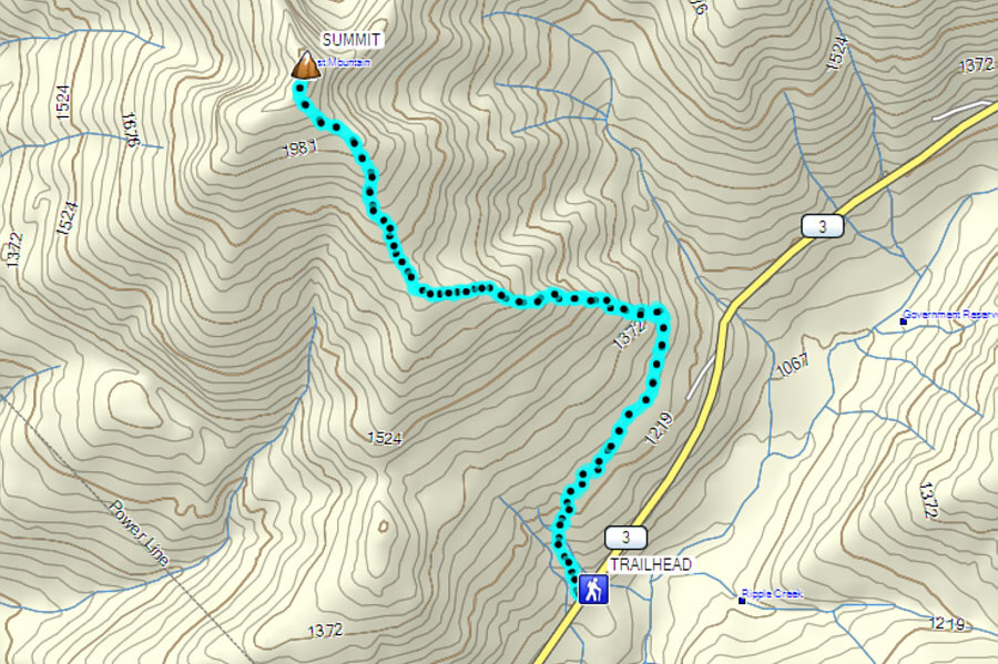 Only worthwhile during berry season!