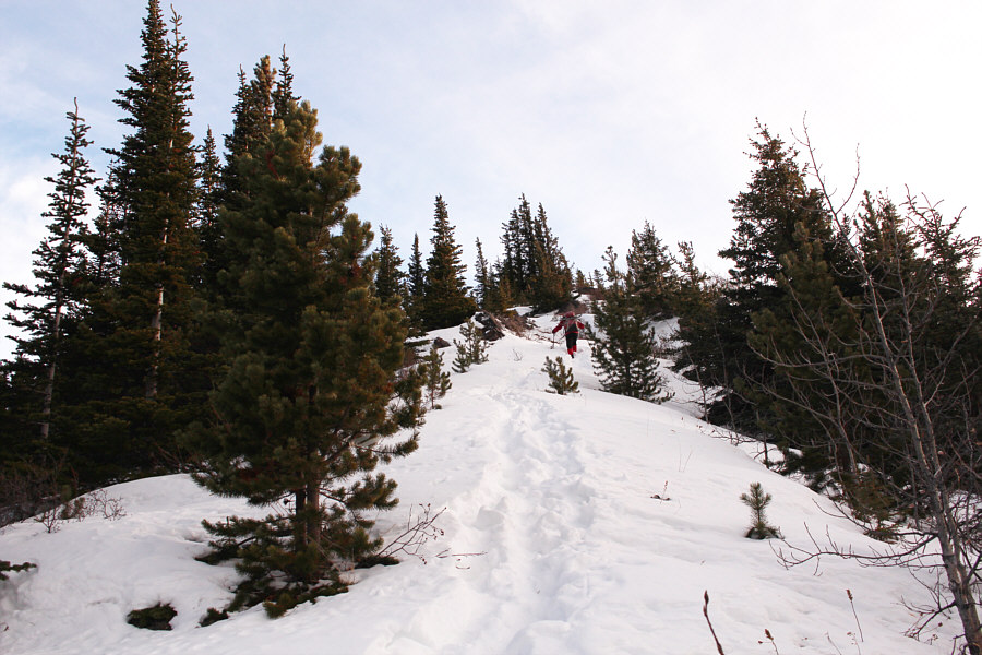 Child's play compared to what we had to go through on Grande Mountain the previous day!