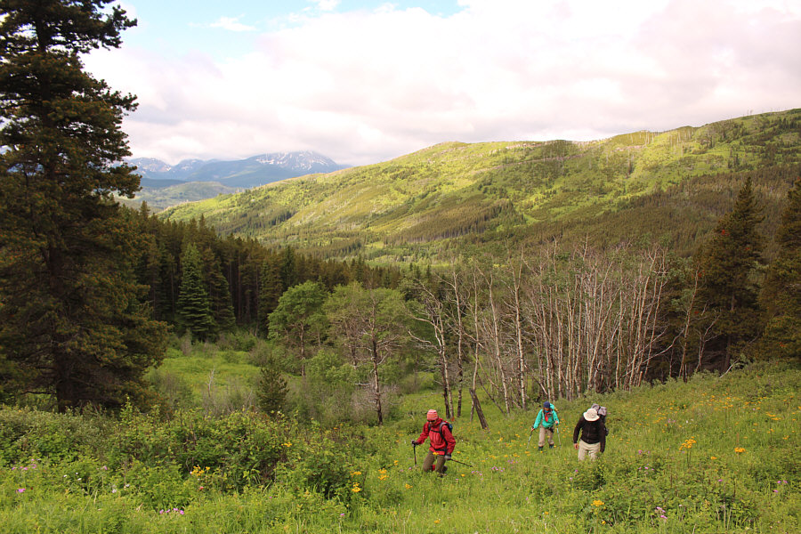 Be careful you don't step into a hidden creek here!