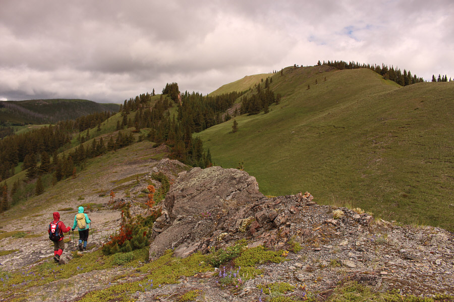 There's a interesting rock wall at left that might be worth a closer look in the future.