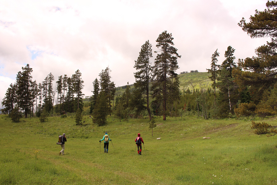 Ultimately, we need to head LEFT!