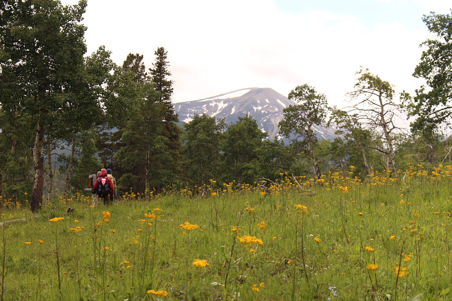 Yippe-ki-yay...cow pattie!