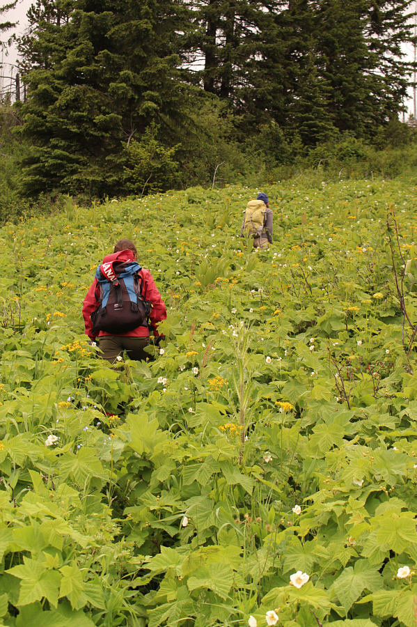 It might be easier to do this trip in winter!