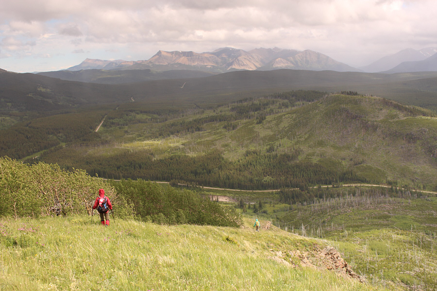 Stay out of trouble; stay out of the woods!