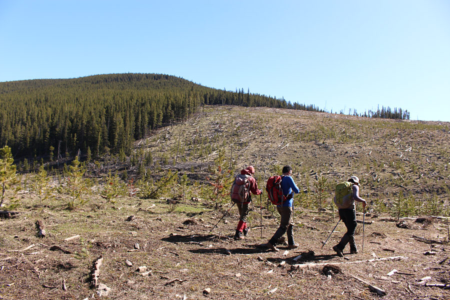 Kind of an ugly start, but at least you can see where you're going!