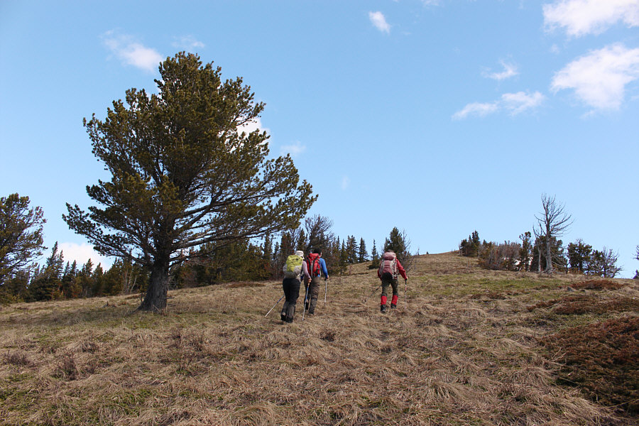 A no-nonsense ascent.