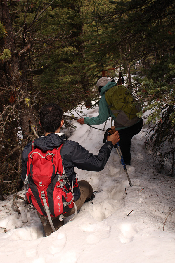 Par for the course whenever Zosia and I hike with Ali and Asieh!
