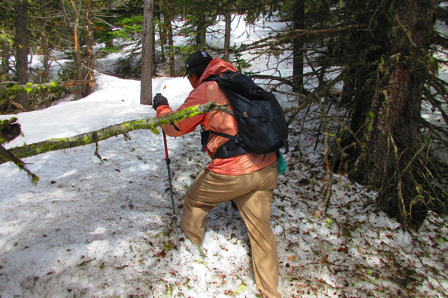 This seems a bit too familar...