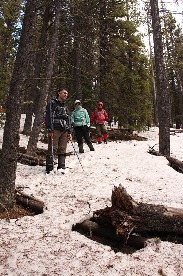 The slope is steep enough that an ice axe would not have been out of place here.