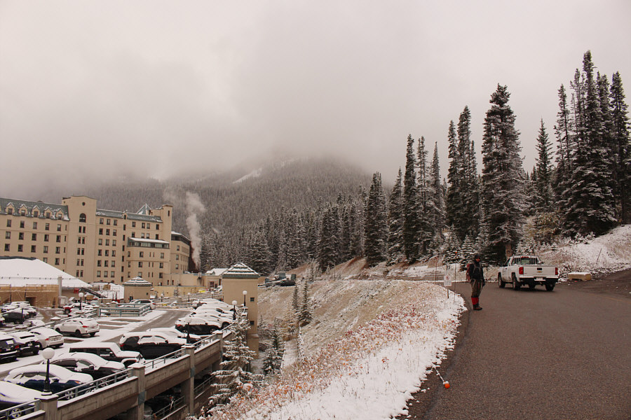 The sign beside Zosia says "No walking on this side of the road"!