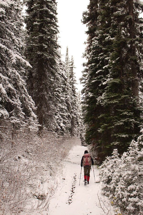 And quite boring too!