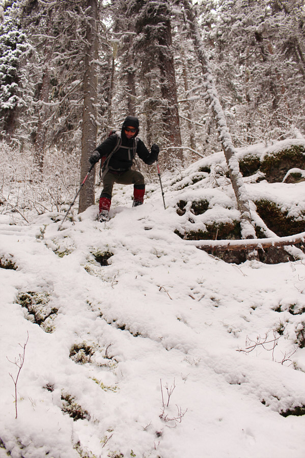 It's much easier to bushwhack downhill than uphill!