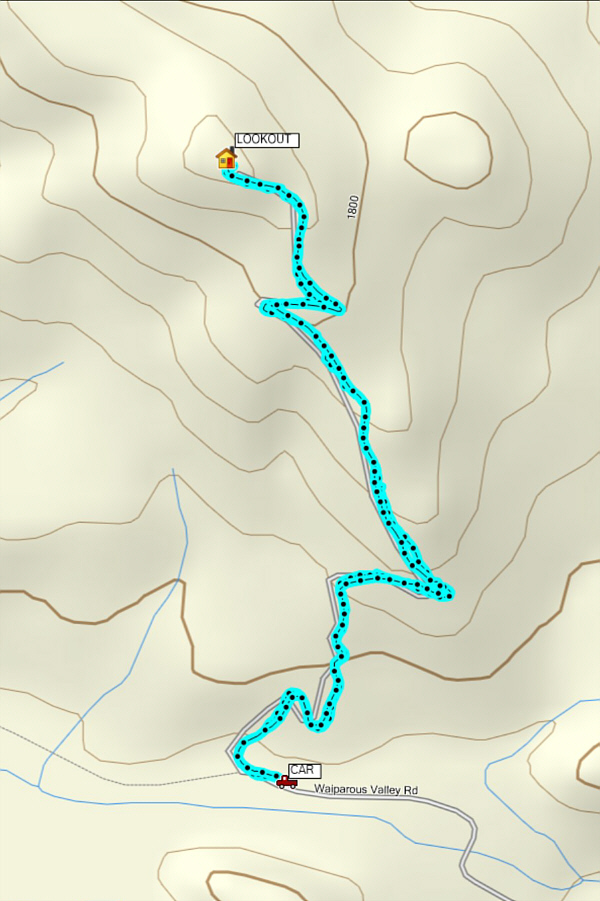 A great ski outing during pandemic lockdowns!