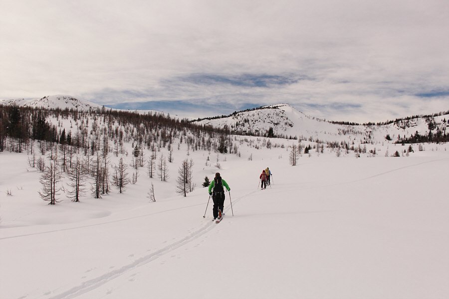 Wonderfully mellow terrain for ski touring.
