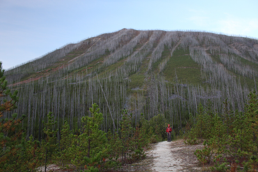 Looks like some potentially good ski runs in winter!