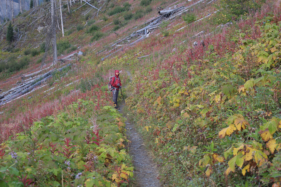 At least the mosquitoes are finally dead for the season!