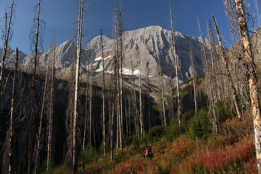 Still a long way to go...just to get to the lake!