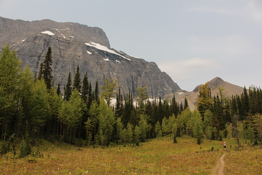 I wonder if Foster Peak can be scrambled.