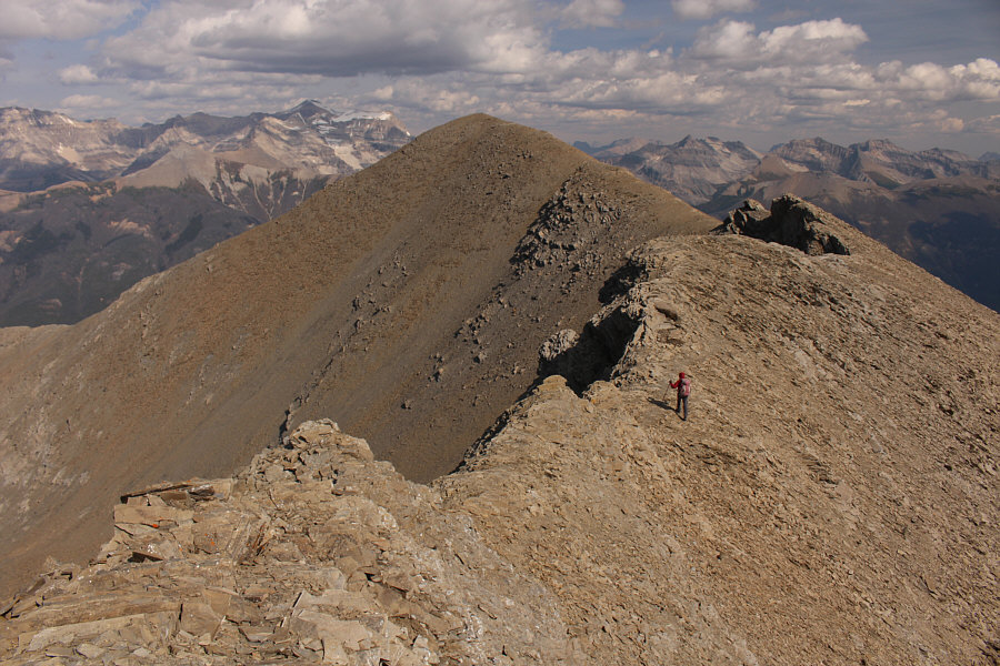 The end is in sight.