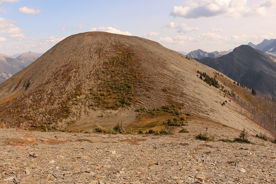 Poor neglected knob!