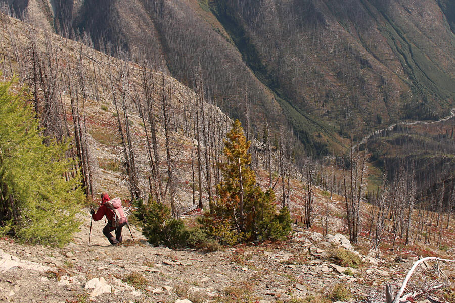 Knee-jarring...period.