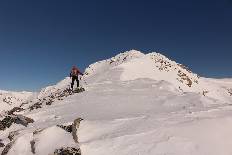 Things are starting to get spicy here!