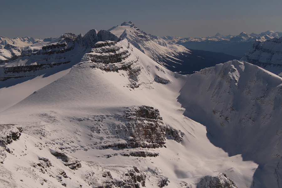 It's always nice to see the 'Boine!