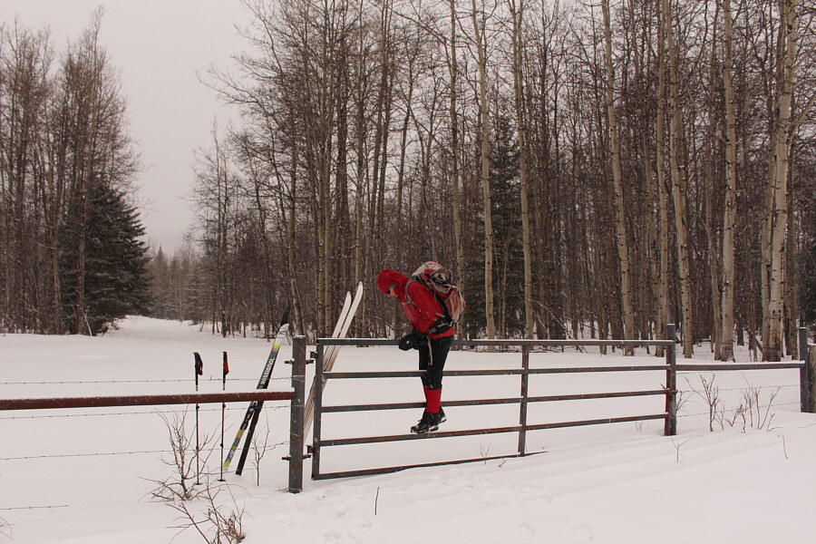 Not posted, so you could probably still enter without the leaseholder's permission...