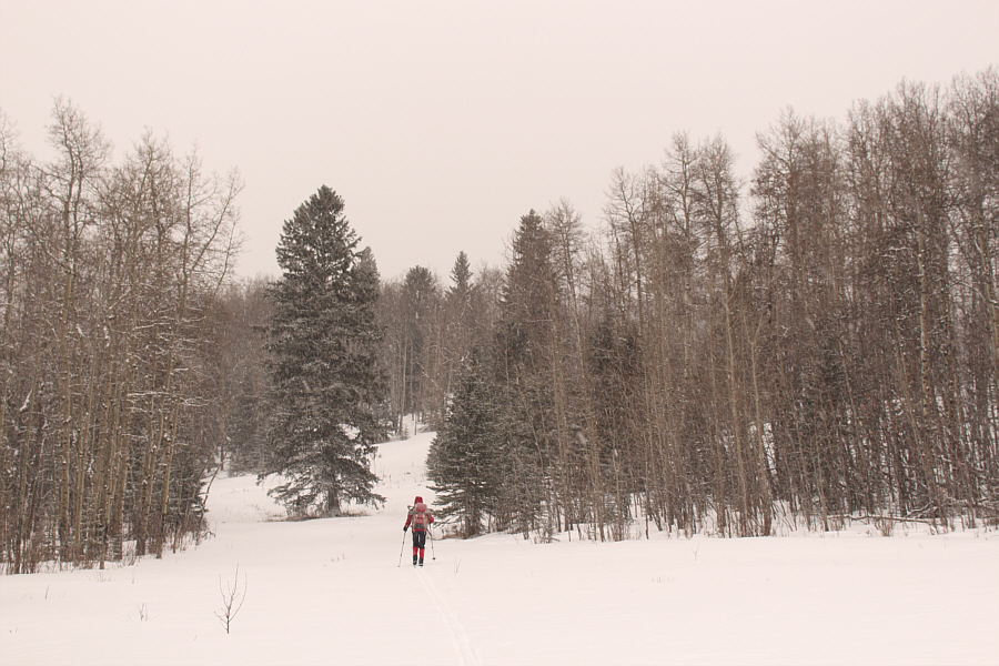 Some herringboning may be required here if not using skins.