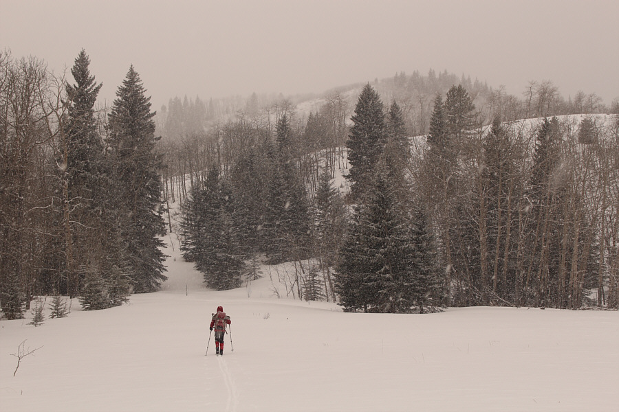 Surprisingly sublime.