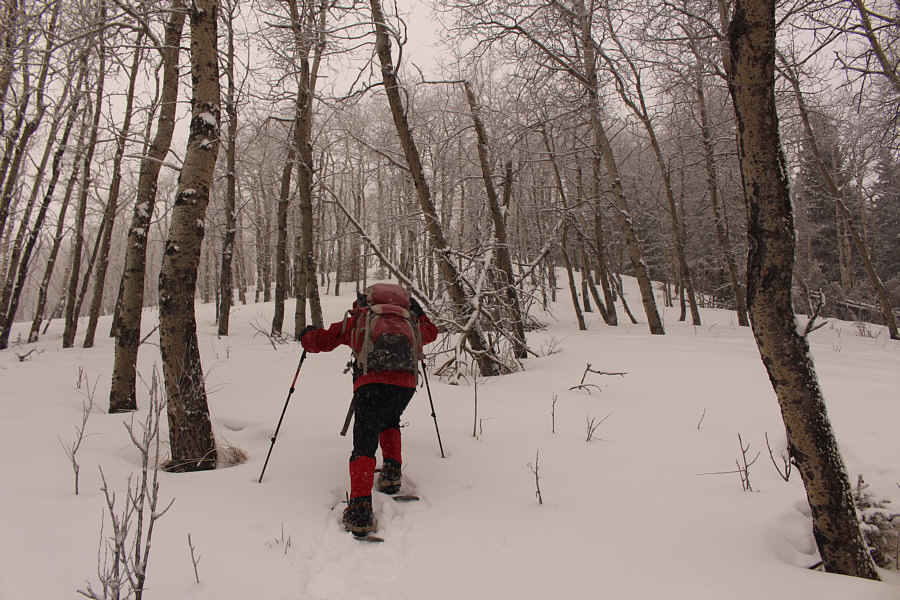 Hardest 50 metres I have ever climbed!