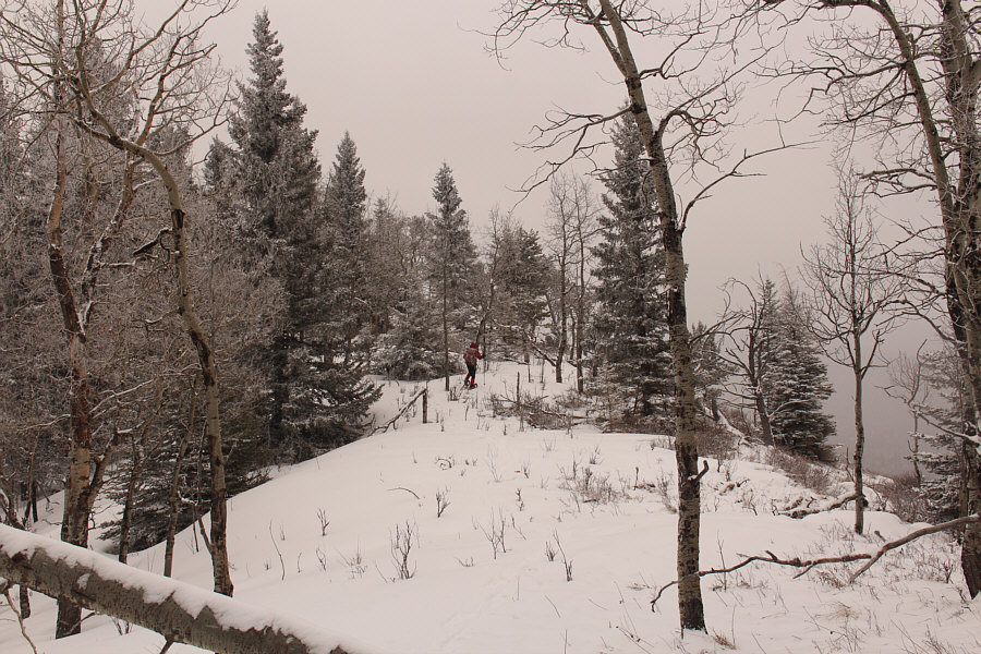 Yep, looks about the same as the north end!