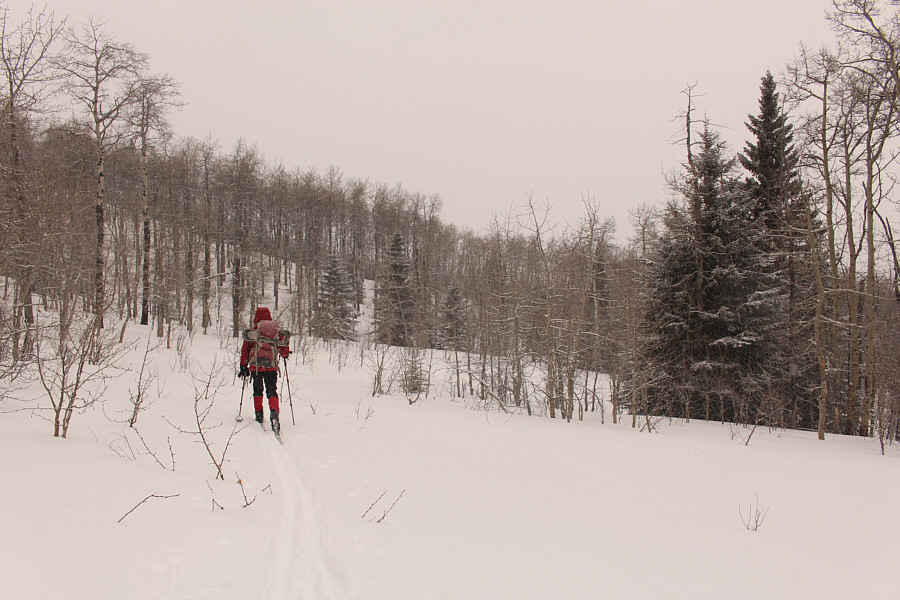 We only descended about 100 metres from here, but this was the best ski descent for me this season!