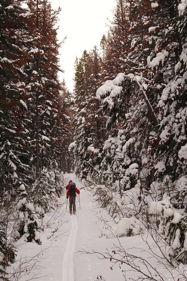 The road not taken...